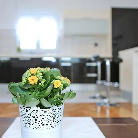 Apartment City Gallery Zadar